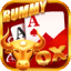 rummy gli